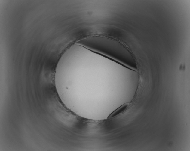 X0000110720096200906261505