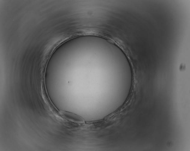 X0000110720097200906261505