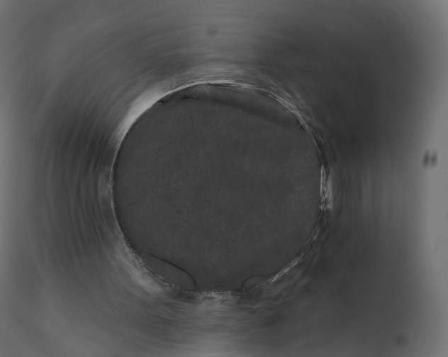 X0000110720099200906261505