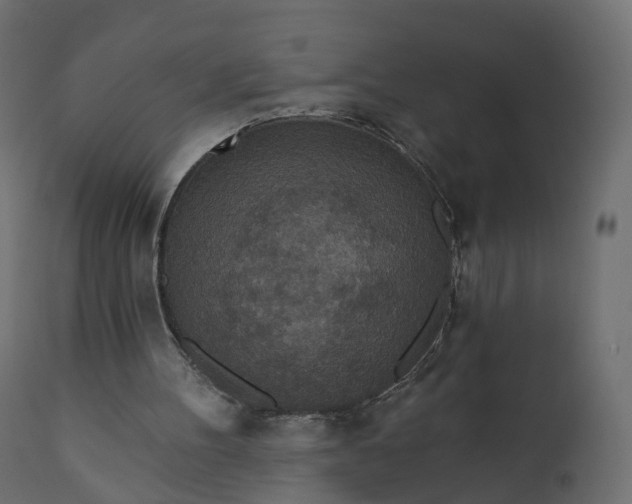 X0000110720100200906261505