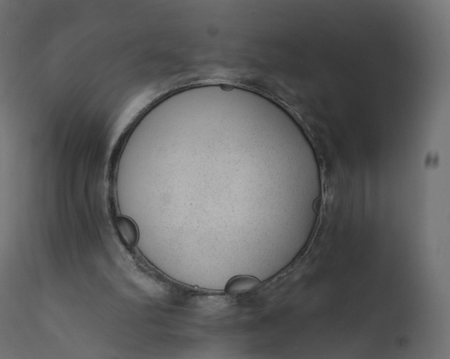 X0000110720102200906261505