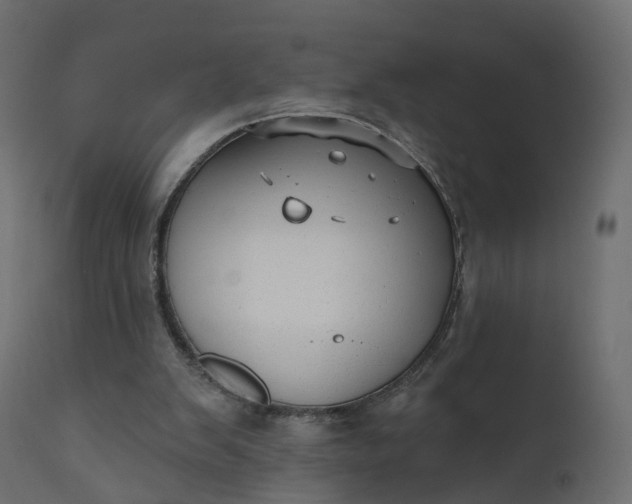 X0000110720103200906261505