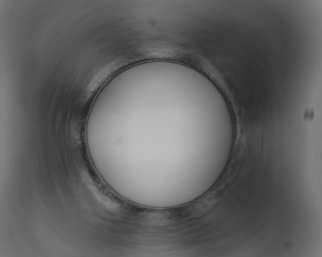 X0000110720106200906261505