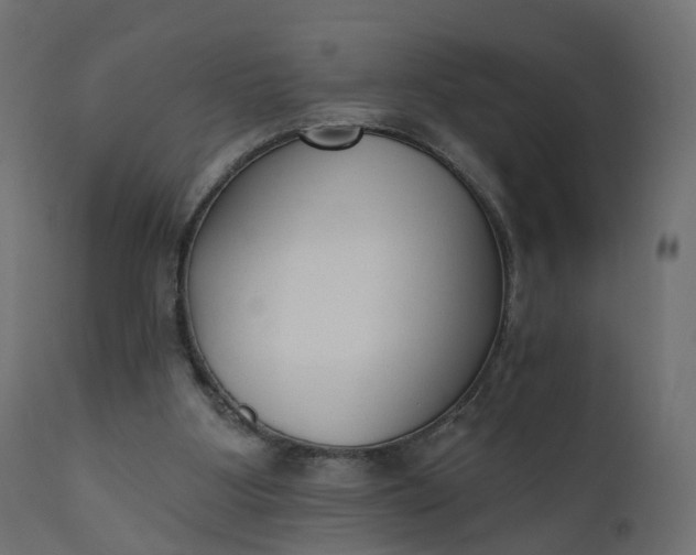 X0000110720107200906261505