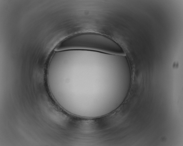 X0000110720108200906261505