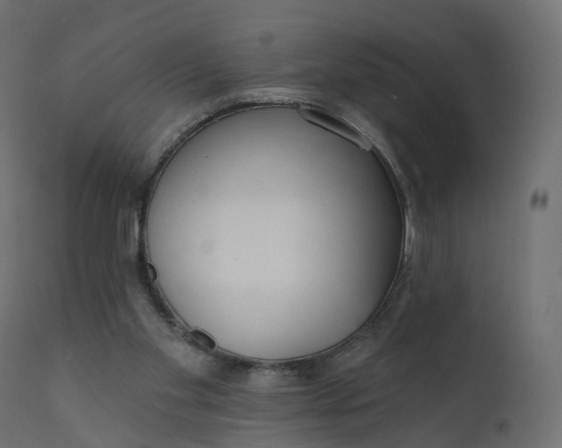 X0000110720109200906261505