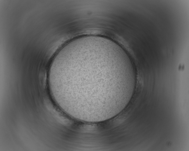 X0000110720110200906261505