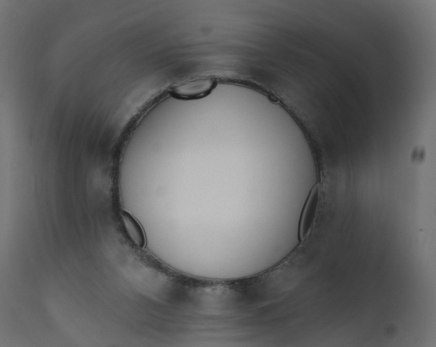 X0000110720112200906261505