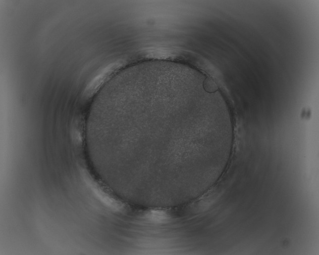 X0000110720114200906261505