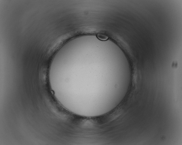 X0000110720115200906261505