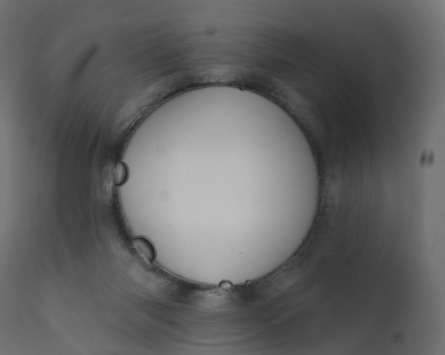 X0000110720118200906261504