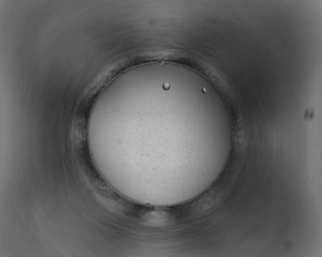 X0000110720119200906261504