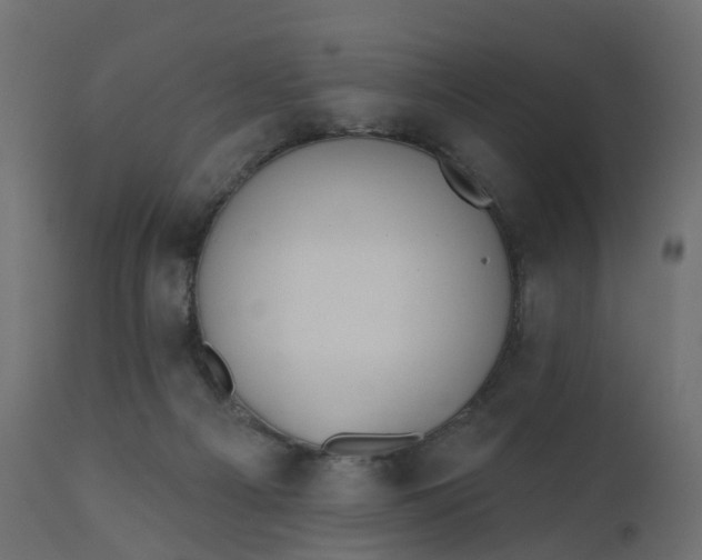 X0000110720121200906261504