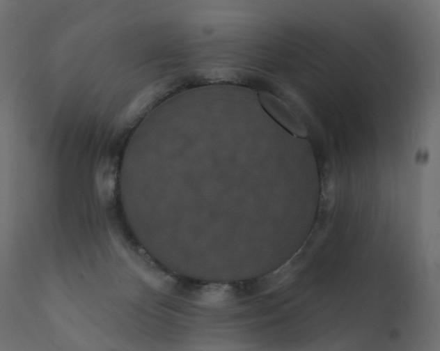 X0000110720124200906261504