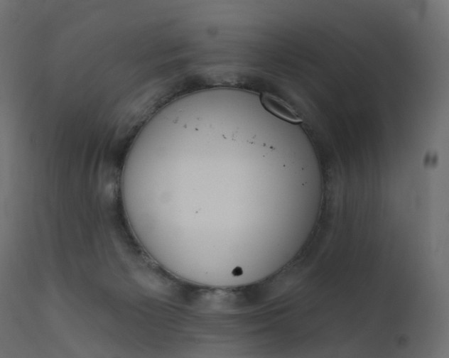 X0000110720125200906261504