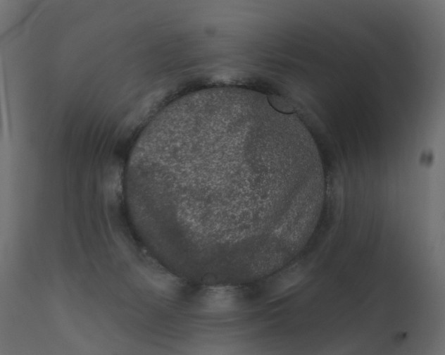 X0000110720127200906261504