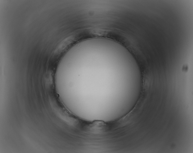 X0000110720128200906261504