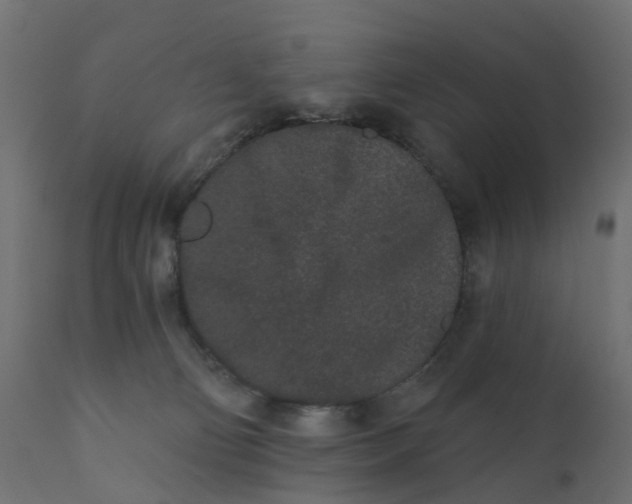 X0000110720130200906261504