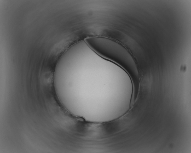 X0000110720132200906261504