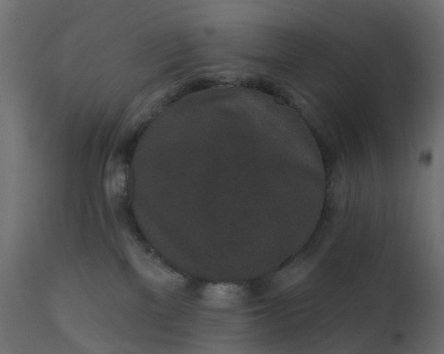 X0000110720137200906261504