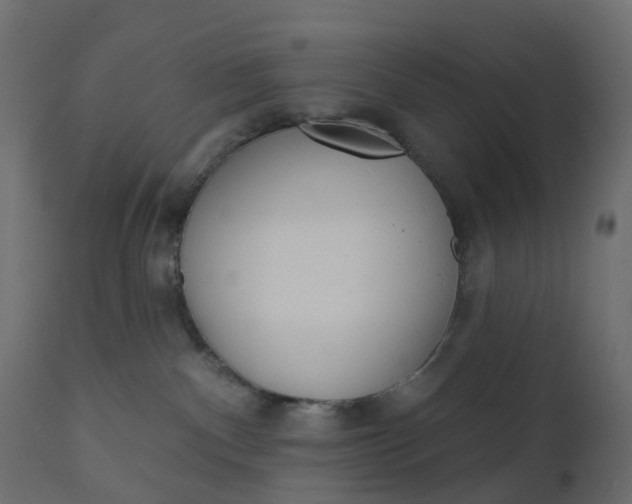 X0000110720140200906261504