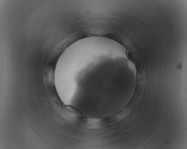 X0000110720143200906261504