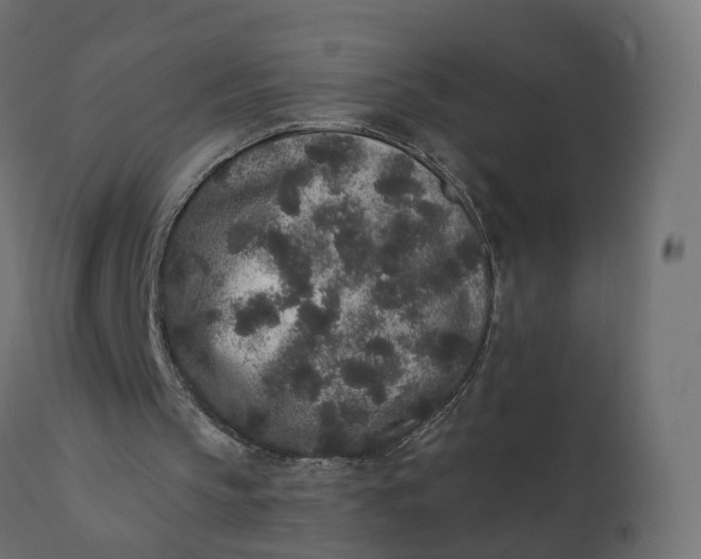 X0000110720145200906261503