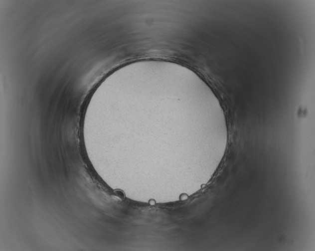 X0000110720146200906261503