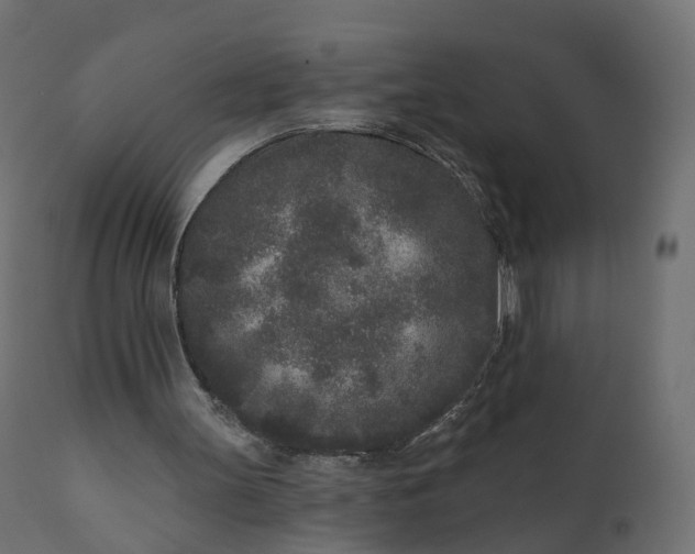 X0000110720147200906261503