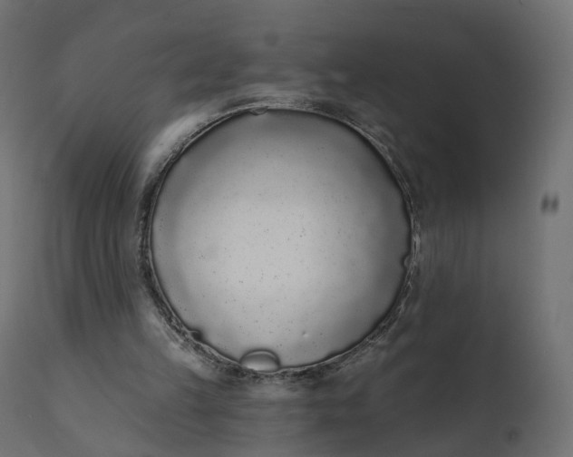 X0000110720149200906261504