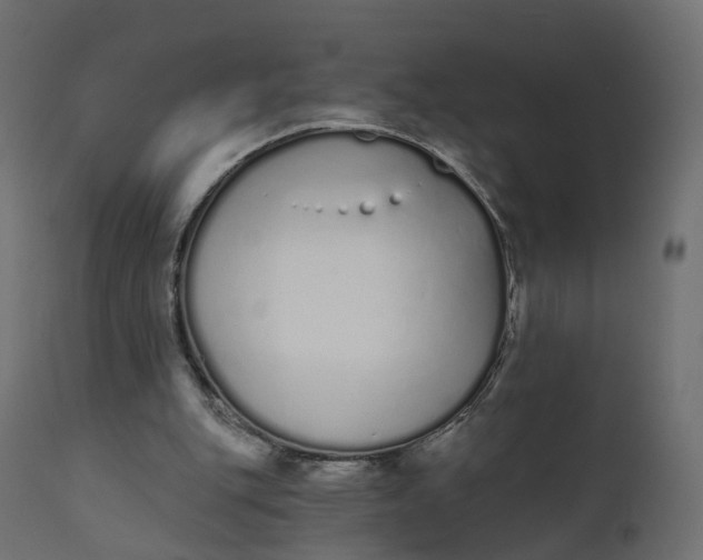 X0000110720151200906261504