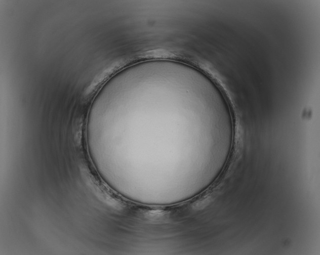 X0000110720153200906261504