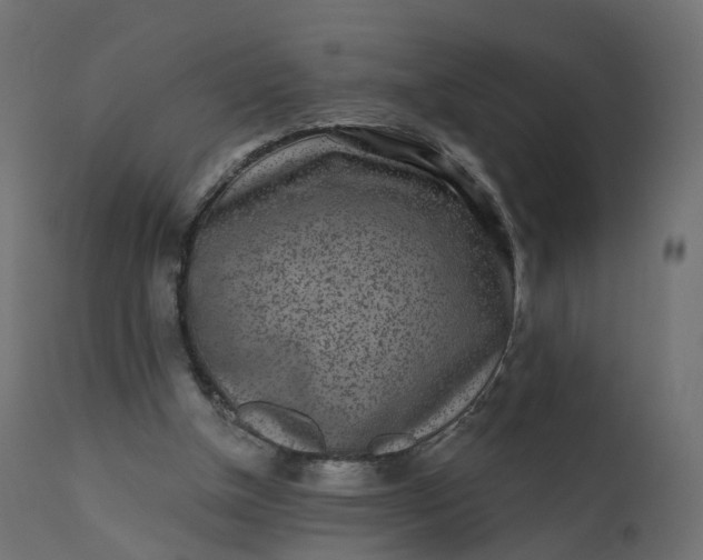 X0000110720154200906261504