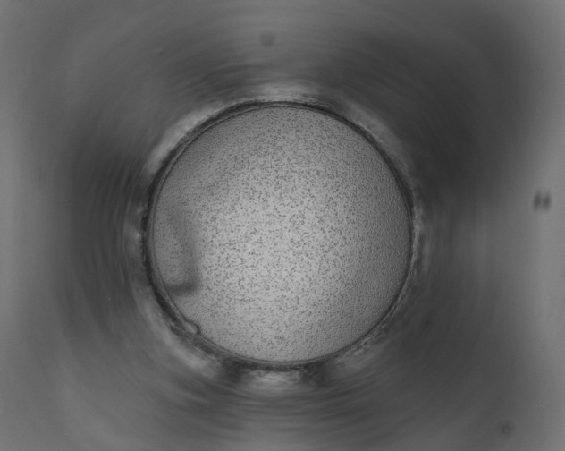 X0000110720155200906261504