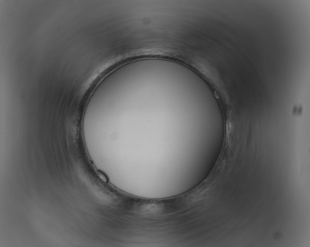 X0000110720156200906261504