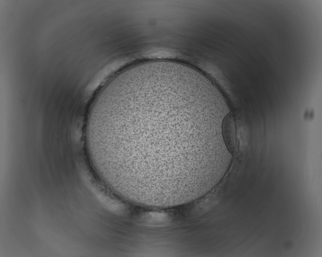 X0000110720159200906261504