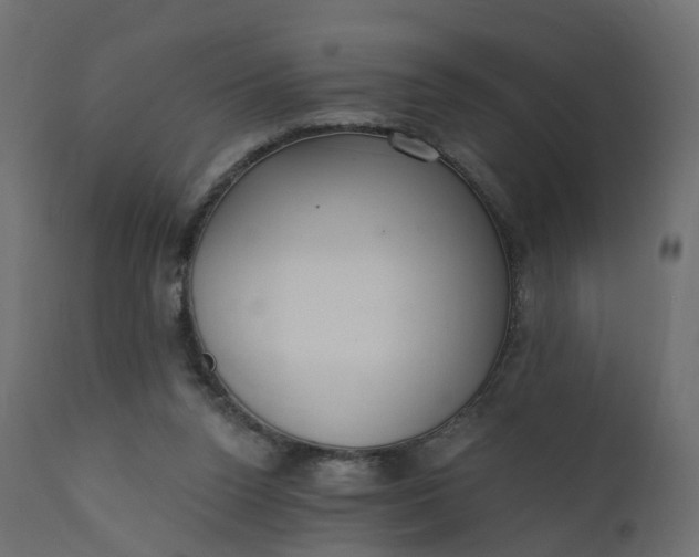 X0000110720160200906261504