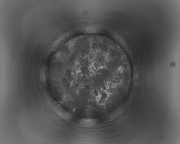 X0000110720161200906261504