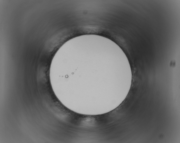 X0000110720162200906261504