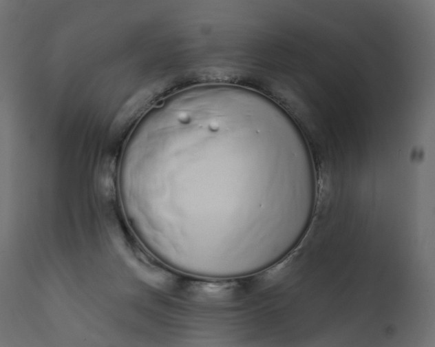 X0000110720166200906261504