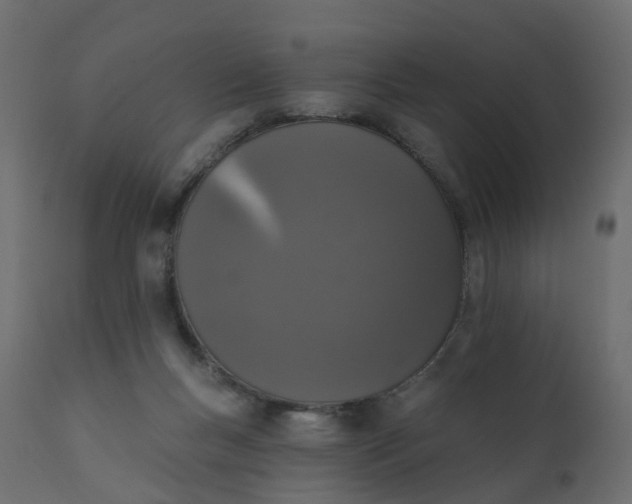 X0000110720167200906261504