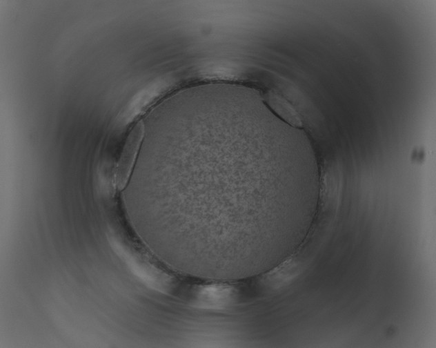 X0000110720168200906261504