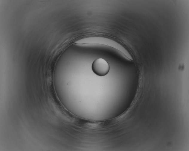 X0000110720170200906261504