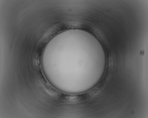 X0000110720173200906261504