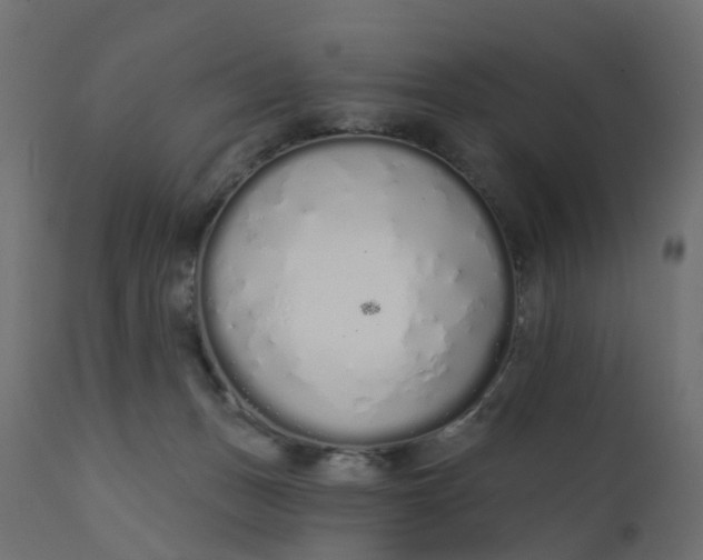 X0000110720175200906261504