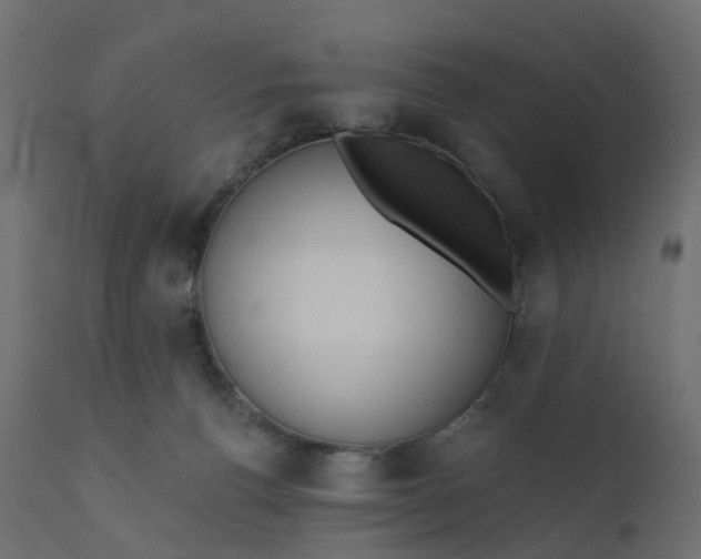 X0000110720176200906261504