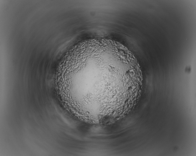 X0000110720177200906261504