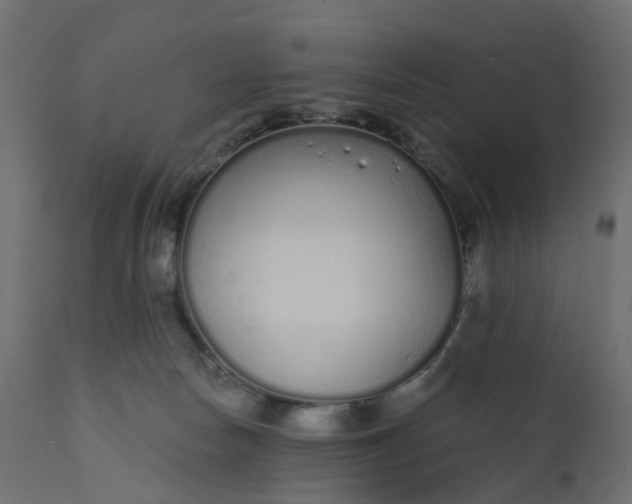 X0000110720178200906261504