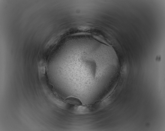 X0000110720180200906261504