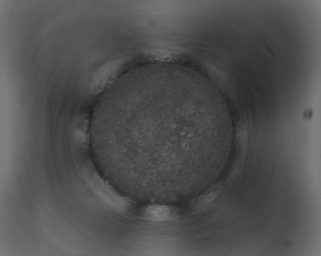 X0000110720181200906261504